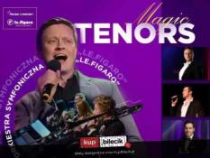 Chełm Wydarzenie Koncert Orkiestra Le Figaro